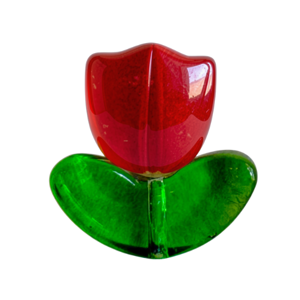 Red Tulip