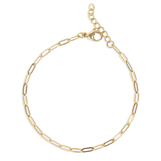Paperclip Anklet