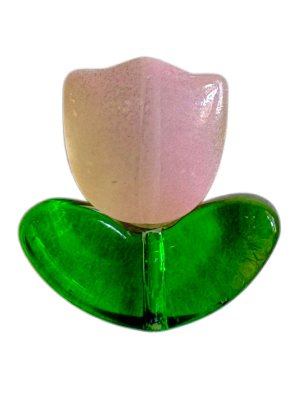 Tulip