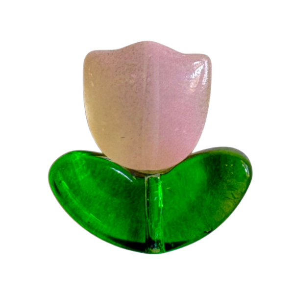 Tulip